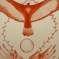 Image 5 of “Cathartes Aura”
