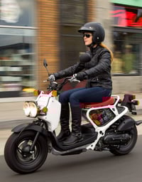 Image 3 of Honda Ruckus Kemimoto Under Seat Storage 