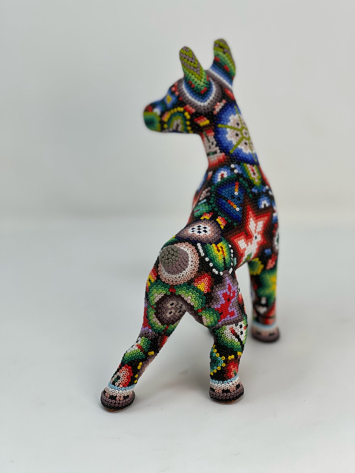 Doberman | Huichol Jefe