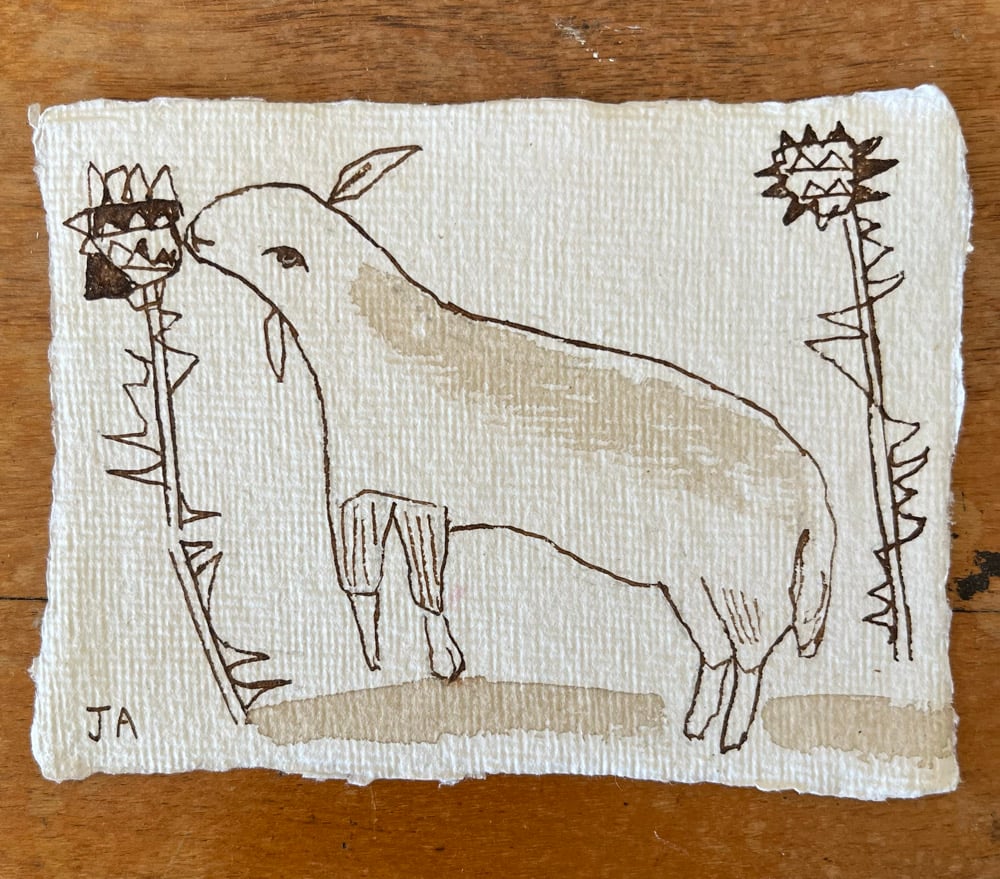 Image of Ewe nibbling a thistle. 