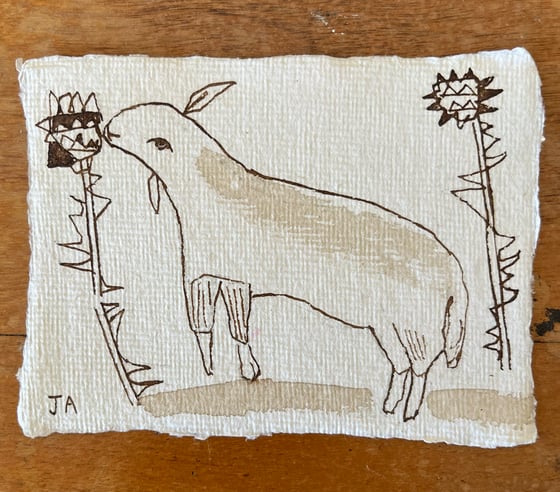 Image of Ewe nibbling a thistle. 