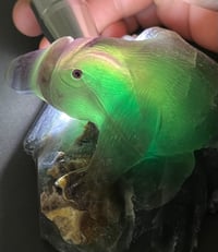 Image 23 of Platypus Fluorite Carving #2919