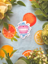 Image 1 of Pride Stickers (Trans, Enby, Lesbian, Aro, Ace)