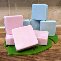 Shampoo Bar 