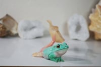 Image 2 of Frog Mermaid
