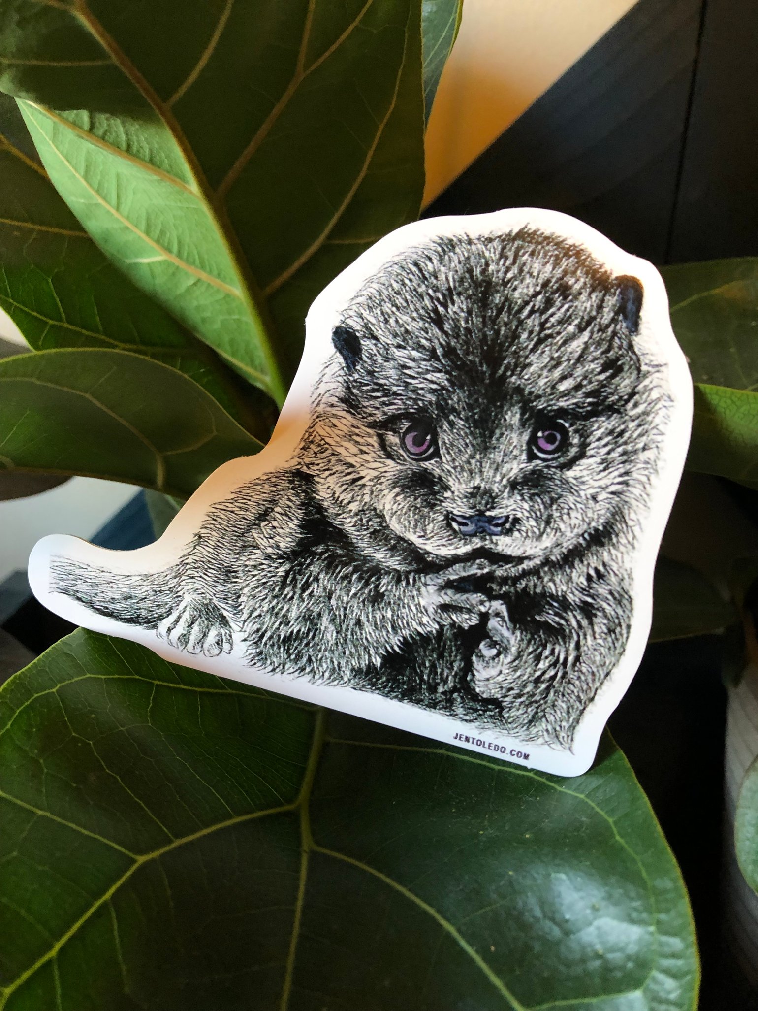 Image of Baby Otter Sticker