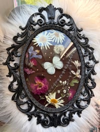 Image 3 of Cabbage White Antique Frame