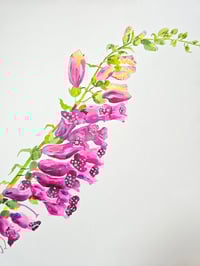 Image 1 of "Foxglove" Original 
