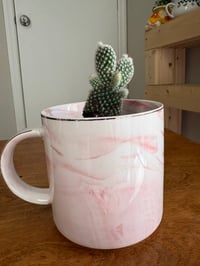 Image 2 of Bunny Ears Cactus with Personalized Age Mug (Adult)