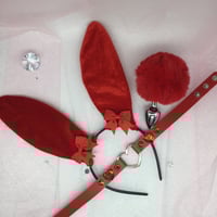 Red bunny petplay set 