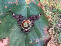Image 2 of FERN 
