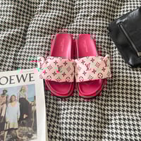 Image 2 of lv puffer slides