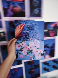 Image 2 of SPRING NIGHT IV