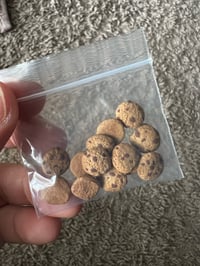 Image 5 of 1 dozen miniature chocolate chip cookies 