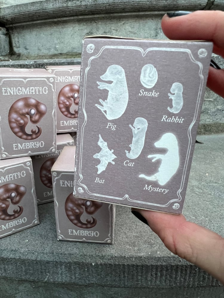 Embryo エンブリオ Enigmatic embryo box | Polymerase