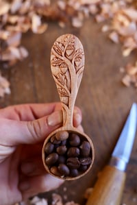 Image 6 of Oak Tree~ Coffee Scoop