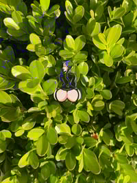 Sitting pretty Wednesday 