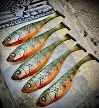 Image 1 of 5" G5 Hand Poured Swimbaits - "SUNGILL”