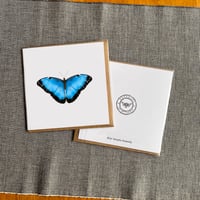 Image 3 of Greeting Card (various Designs) 6x6