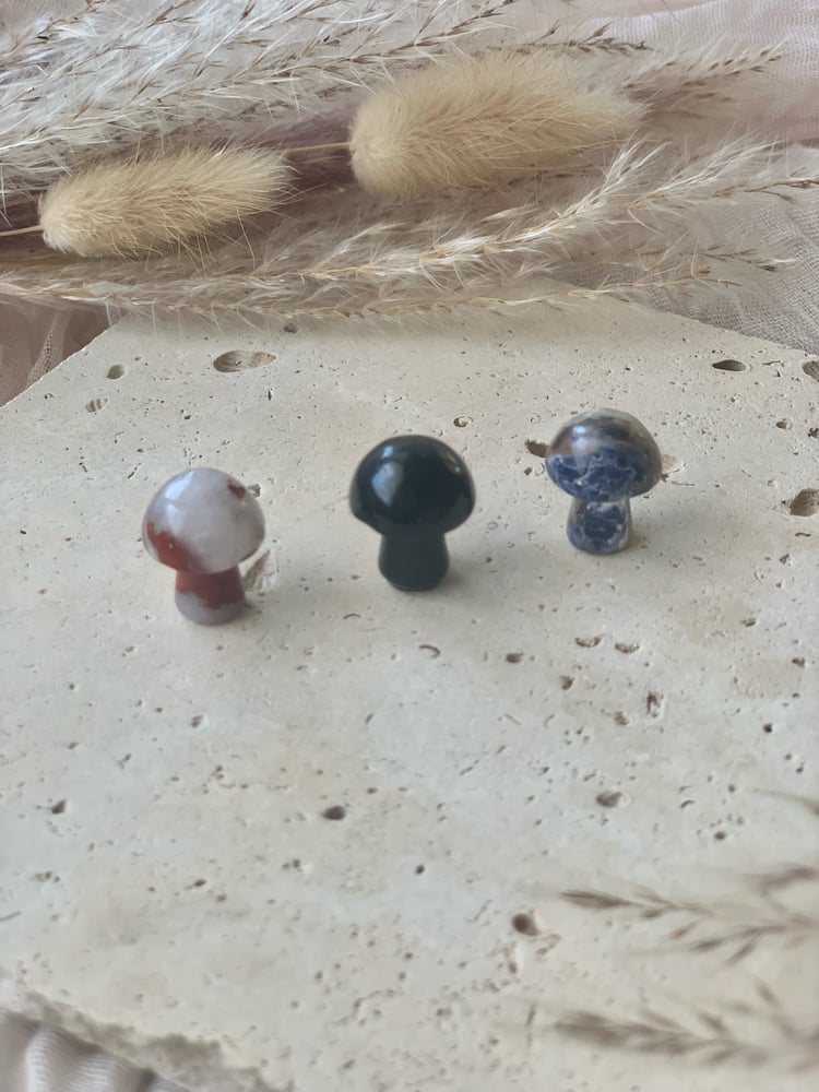 Image of Mini Mushroom Carvings (intuitively chosen) 