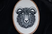 Image 2 of Black sheep of the family