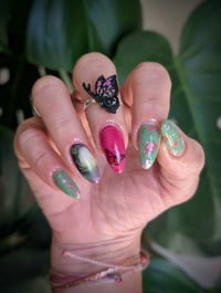 Image 3 of Brandis Butterfly 