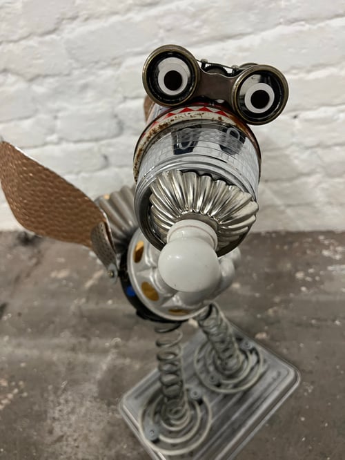 Image of Nudger the bird