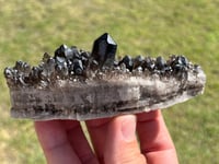 Image 15 of Smoky Quartz Crystal Points Cluster | Brazil #2971