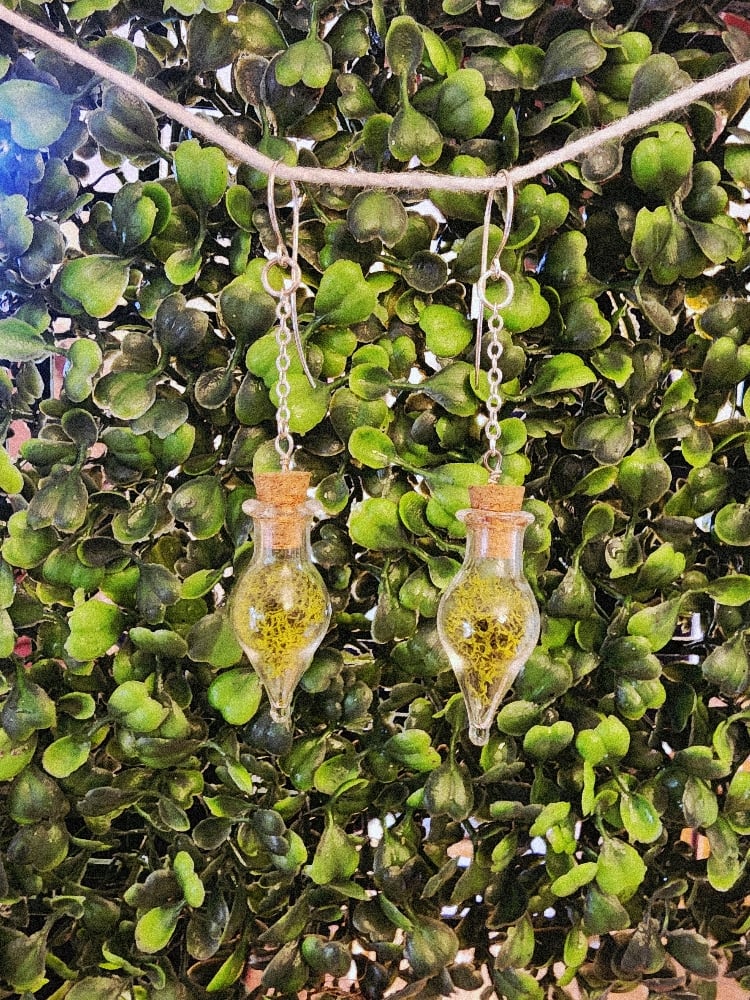 Image of mossy vial earrings