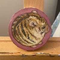Image 1 of Tiger hammie
