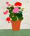 Image of July Geraniums 