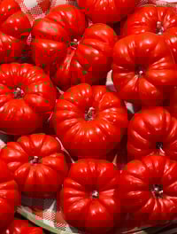 Image 4 of HEIRLOOM TOMATO CANDLE