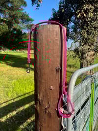 Image 1 of Hot Pink Lead