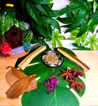 Image 2 of Love Potion #3