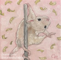 Midnight Ballerina 🩰