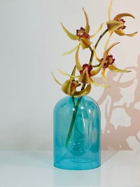 Image 1 of AQUA VASE