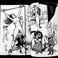 Image 16 of SM Fan 1972 #5