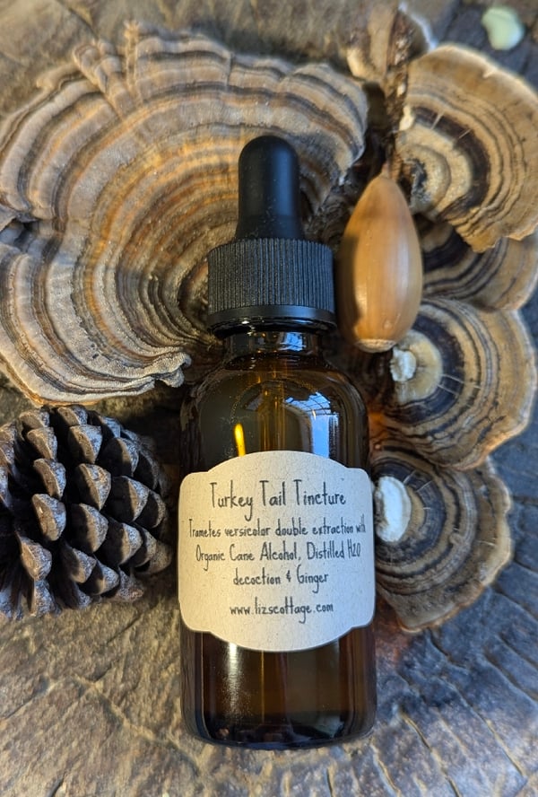 Image of Turkey Tail tincture