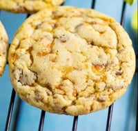 Butterscotch Cookies with Crisped Candy Pieces