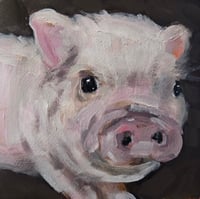 Mr. Piggles  8x8