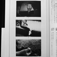 Image 11 of Secrets of the Genius Araki
