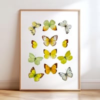 Image 2 of Yellow Butterflies LIMITED EDITION PRINT