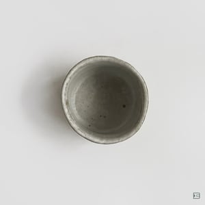 Ikuyo Wakabayashi Cup No.853