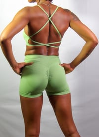 Image 2 of Vibrant Lime 