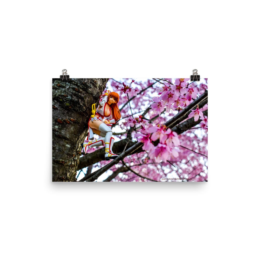 Kasumi x Cherry Blossoms (full)