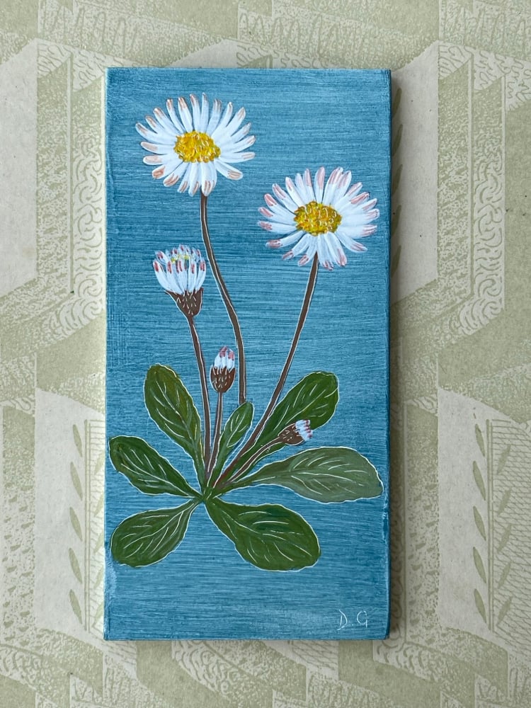 Image of Daisy