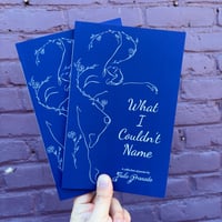 What I Couldn’t Name by Julie Granata 