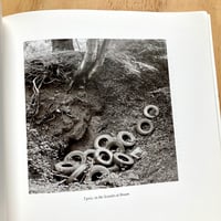 Image 4 of Fay Godwin - The Secret Forest of Dean (Signed)