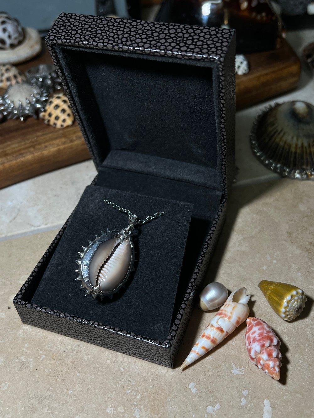 Spiked Snakehead Cowrie Pendant 