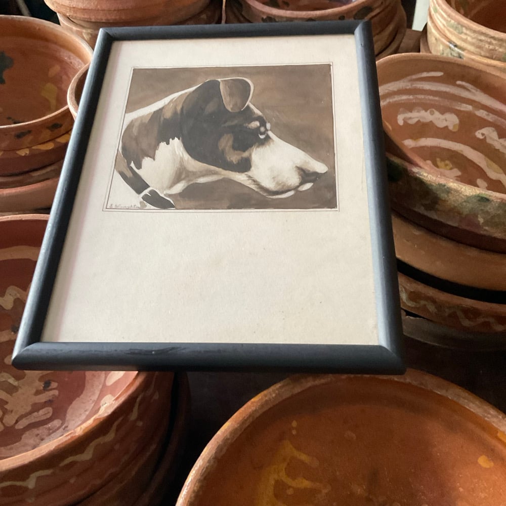 Image of Dog Portrait